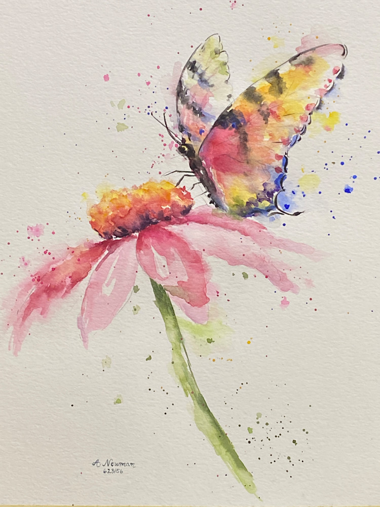 Coneflower And Butterfly Art | Arlene Newman Designs