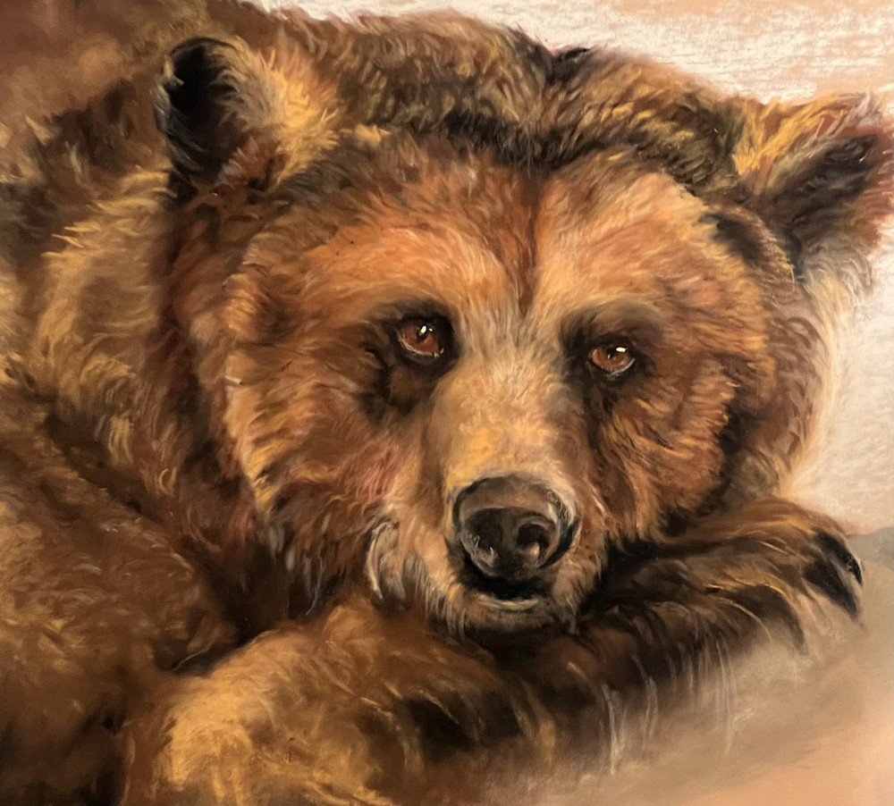 Grizzley Bear Art | nancychipman
