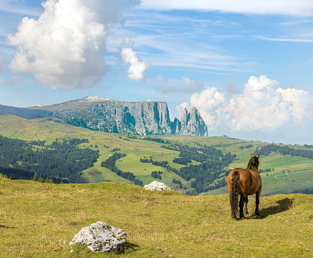 Horse at Dolomite Mountain Overlook | Italy Photography | Tim Truby