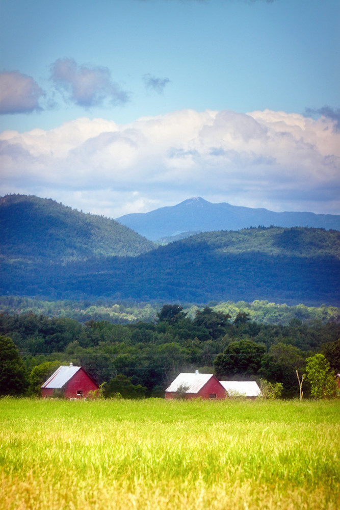 Barnscape In Summer Photography Art | Anne Majusiak Photography