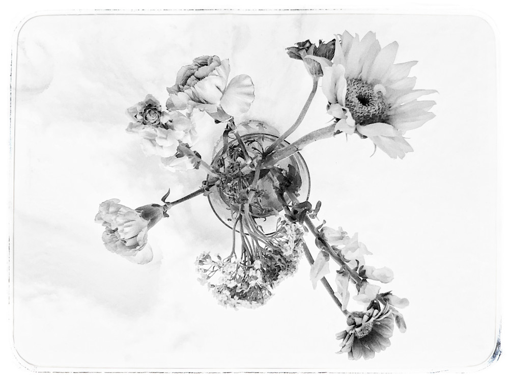 Winter Flowers Photography Art | ZaZaCreative Photography