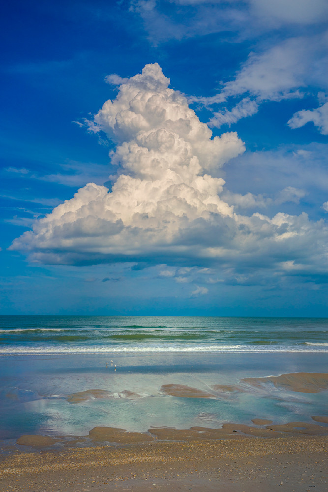 7205 Canaveral National Seashore Photography Art | Cunningham Gallery
