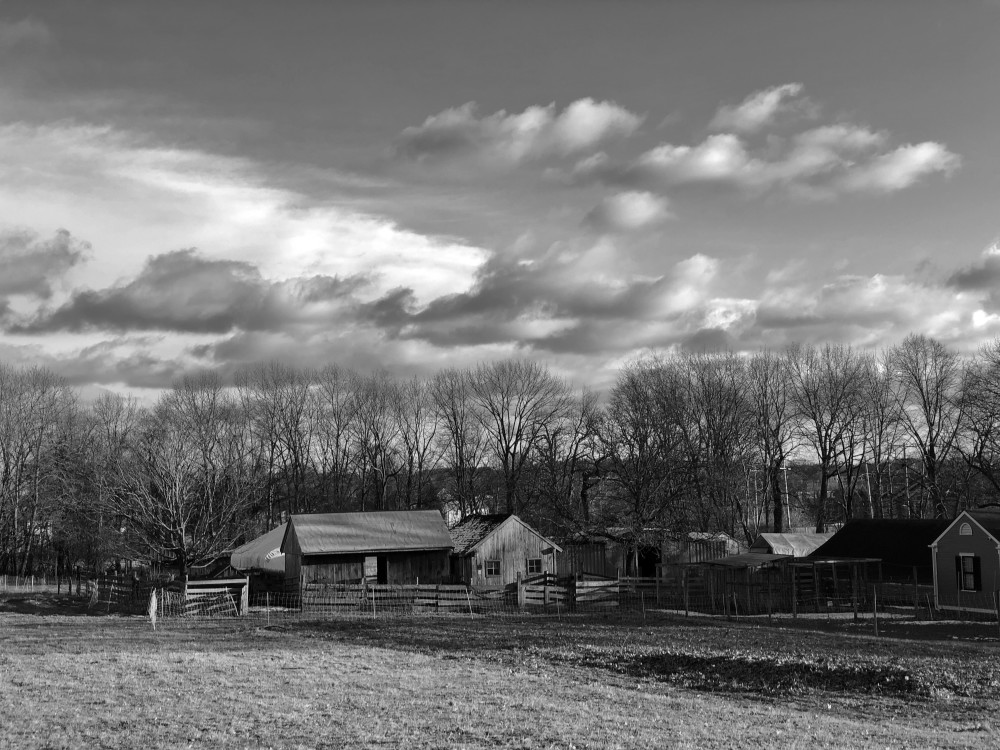 Gore Place Photography Art | ZaZaCreative Photography