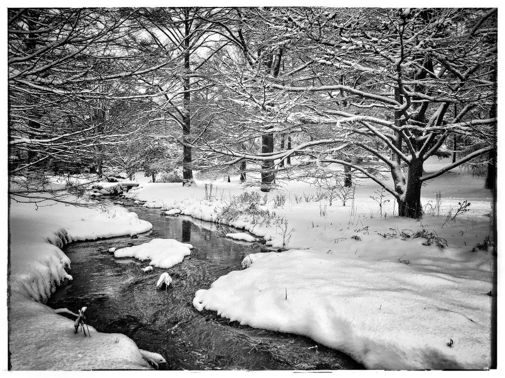 Perfect Winter Photography Art | ZaZaCreative Photography