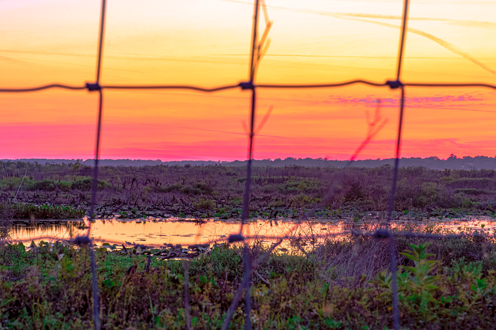 Fenced Sunset At Paynes Prairie Gainesville, Florida Fine Art Print Art | McClean Photography