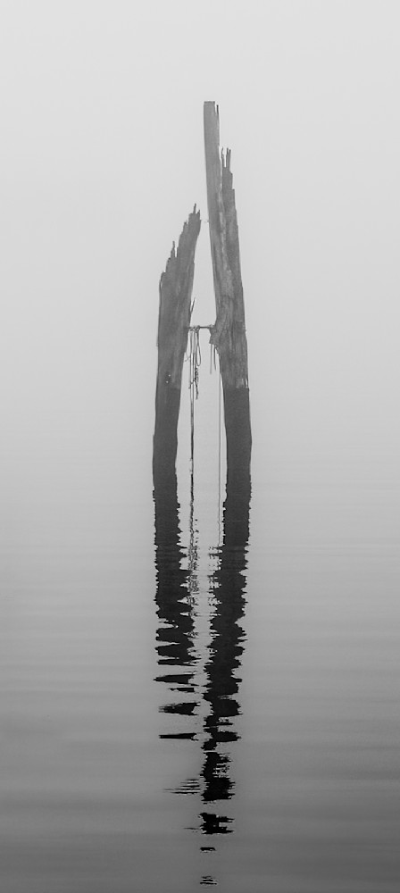 Tied Photography Art | Dawn McDonald Photography
