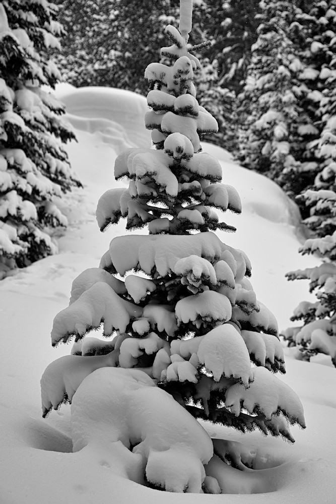 Buried