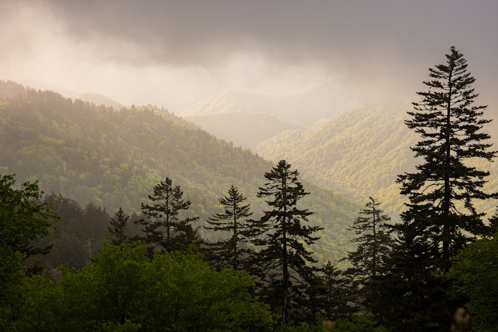 Misty Mountain Morning Photography Art | Ron Longwell Photography