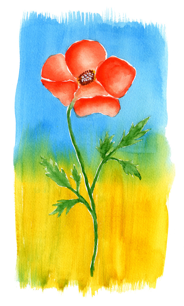 Petals Poppy Art | Jeanine Colini Design Art