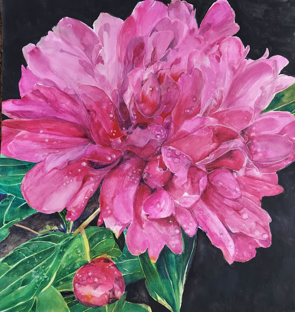 Peony Art | https://www.instagram.com/janeskafte/