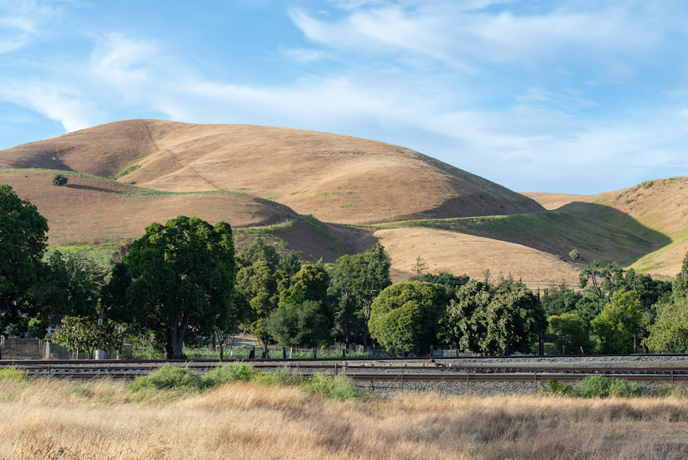 The Hills That Are Niles California 8422 Photography Art | Scott Capen Photography