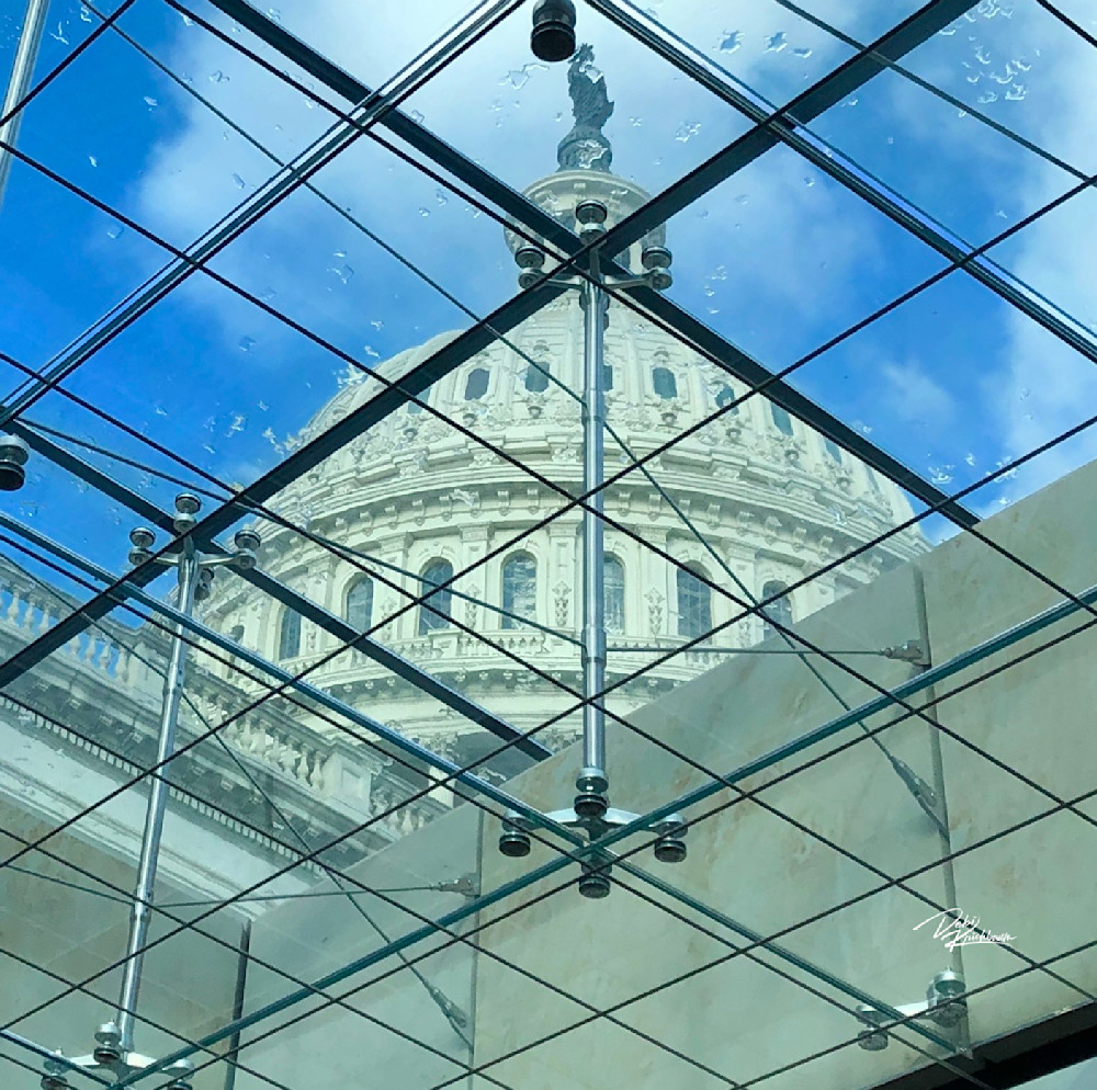 Capital Art | Whiskers and Waggers