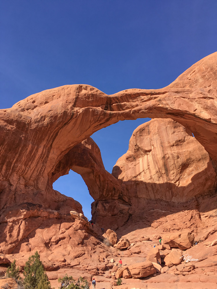 Arch Art | Whiskers and Waggers