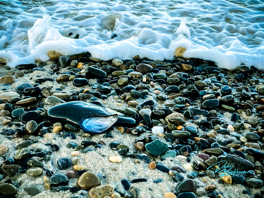 Carlsbad Beach Series 6 1 Art | Whiskers and Waggers