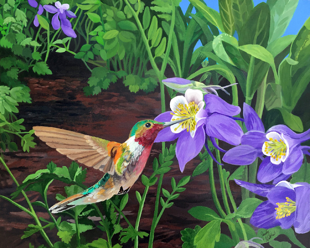 Hummingbird With Purple Columbines Art | Judy's Art Co.