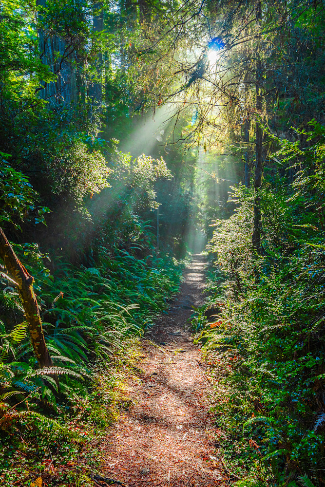 Path Of Light Photography Art | Guided By Light Photography