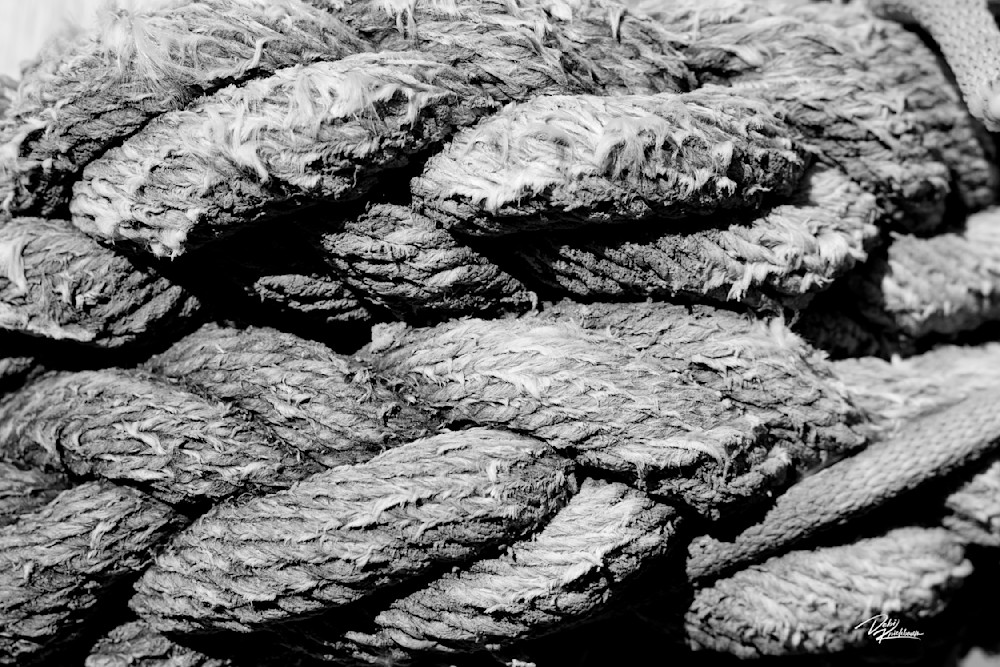 Textures Rope Art | Whiskers and Waggers