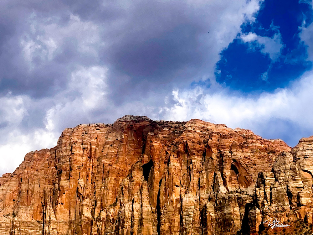 Zion National Storm Watch Art | Whiskers and Waggers