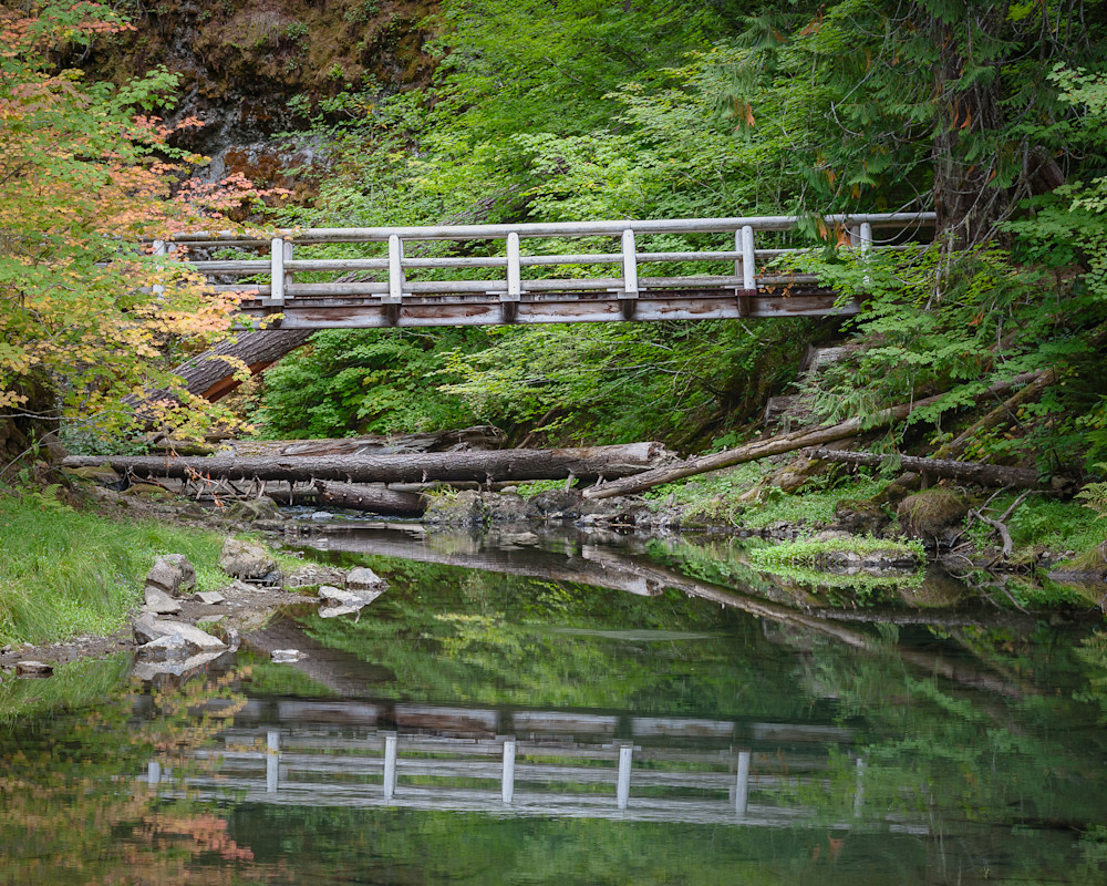 Tranquil Reflections Along the Greenwater River, Washington, 2015
