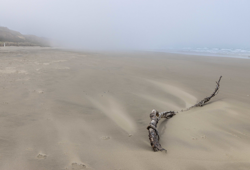 Driftwood and Sand