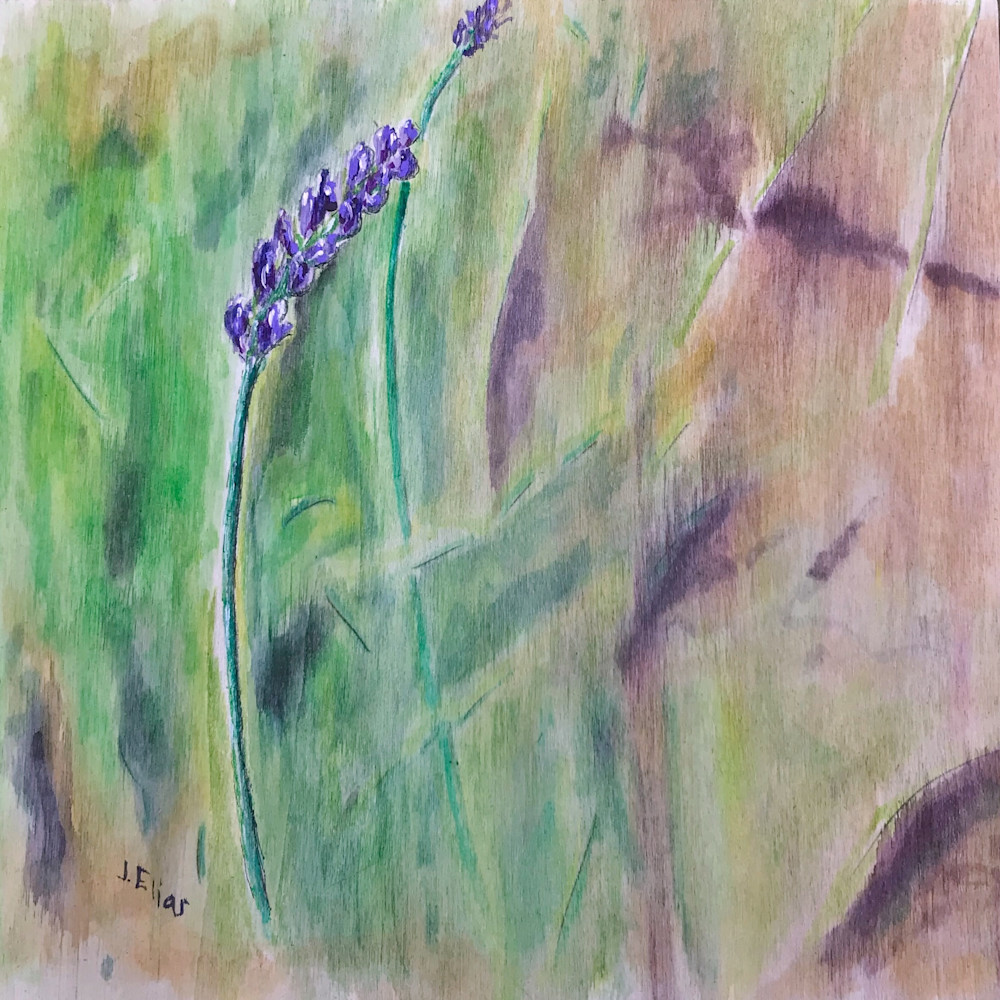 Lavender Bloom Art | Sunrise Galleries