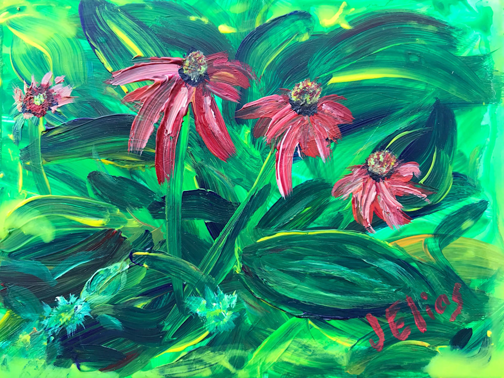 Coral Coneflowers Art | Sunrise Galleries