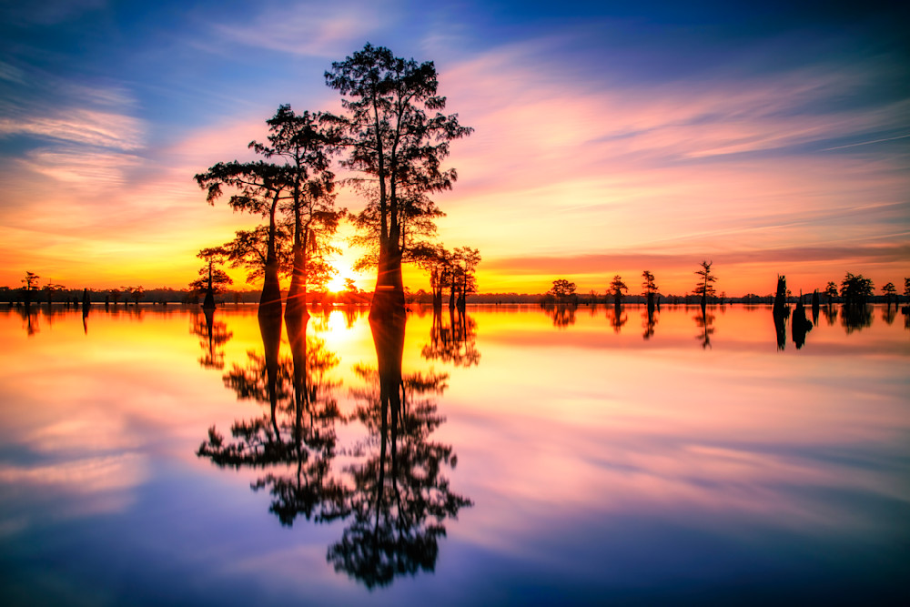 Dawn at Henderson Swamp - Louisiana swamp fine-art photography prints