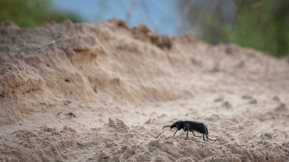 0 Y4 A9094 Photography Art | Captured Adventure Photography