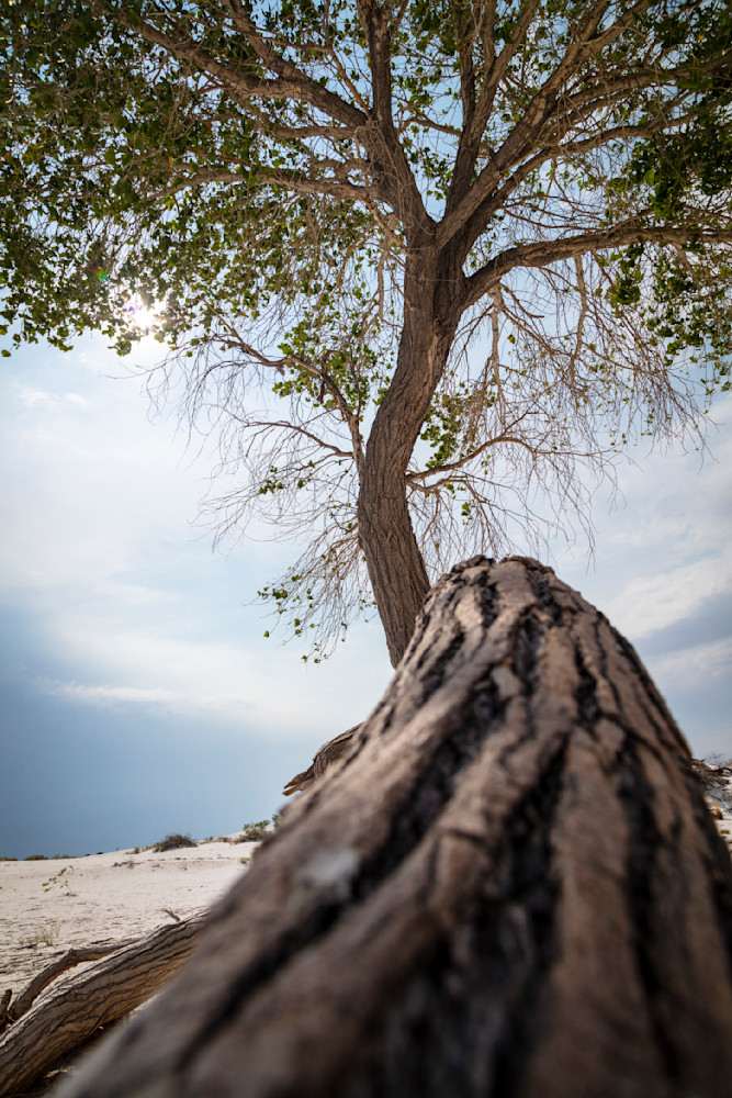 0 Y4 A9065 Photography Art | Captured Adventure Photography