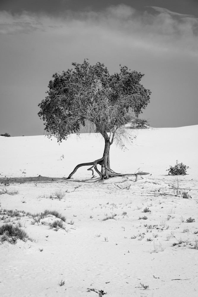 0 Y4 A9044 1 Photography Art | Captured Adventure Photography