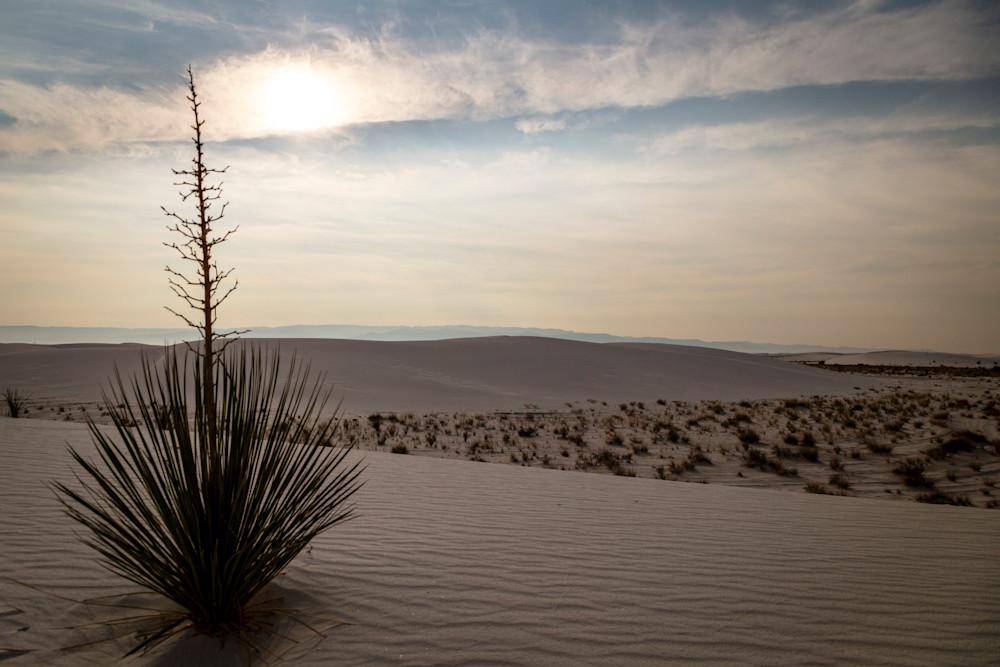 0 Y4 A9231 Photography Art | Captured Adventure Photography