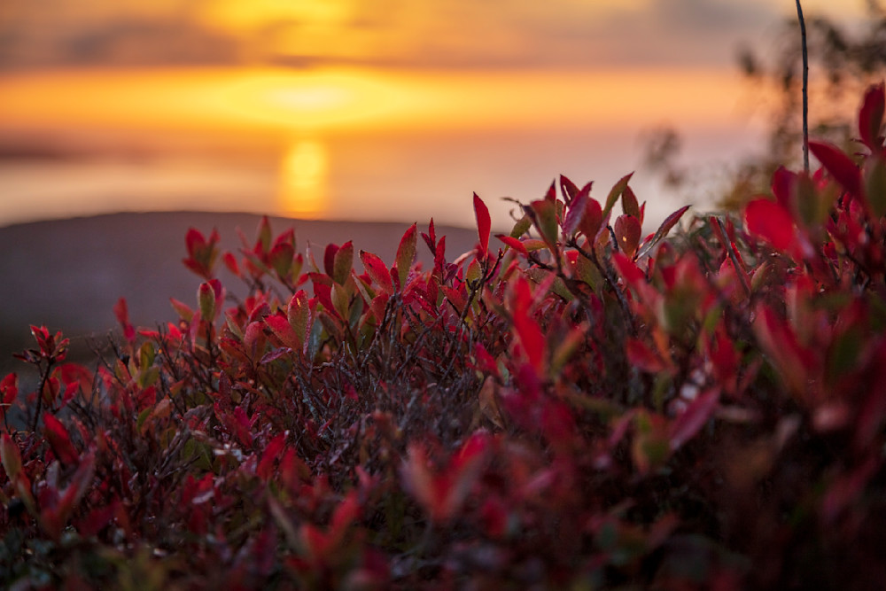 0 Y4 A0483 Photography Art | Captured Adventure Photography