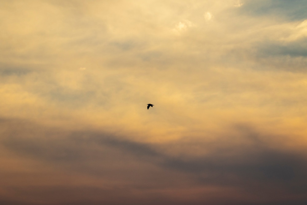 S00 A0540 Photography Art | Captured Adventure Photography