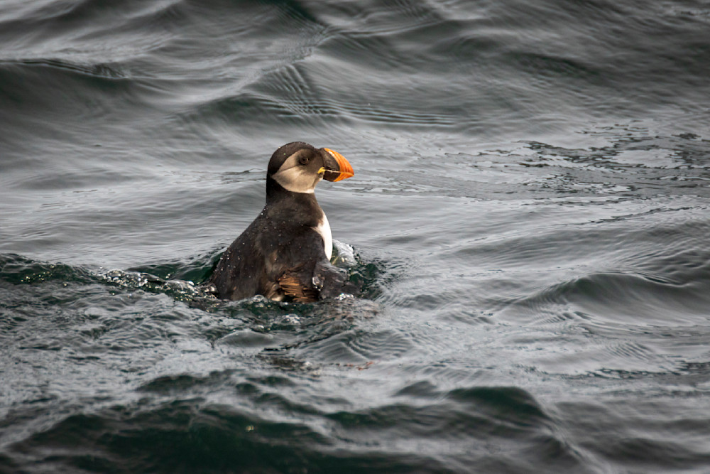 S00 A0692 Photography Art | Captured Adventure Photography