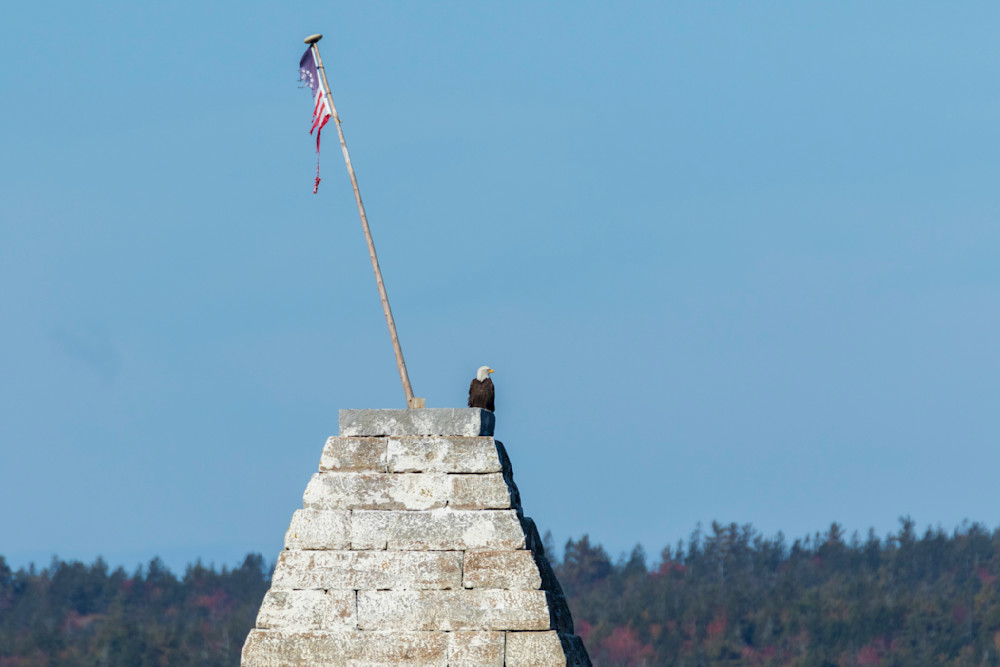 S00 A1728 Photography Art | Captured Adventure Photography