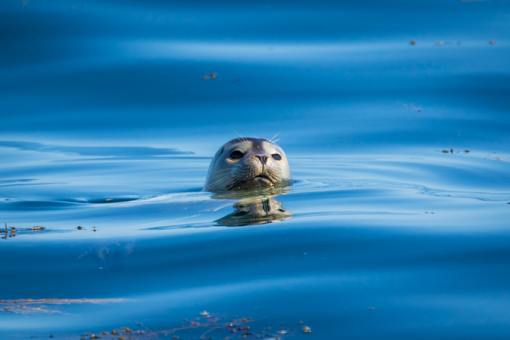 S00 A2258 Photography Art | Captured Adventure Photography