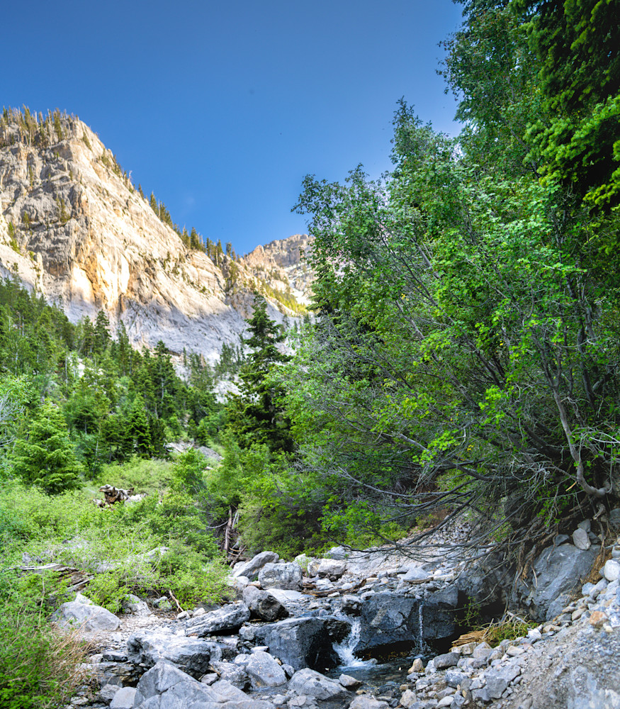 Hiking Near Las Vegas NV 