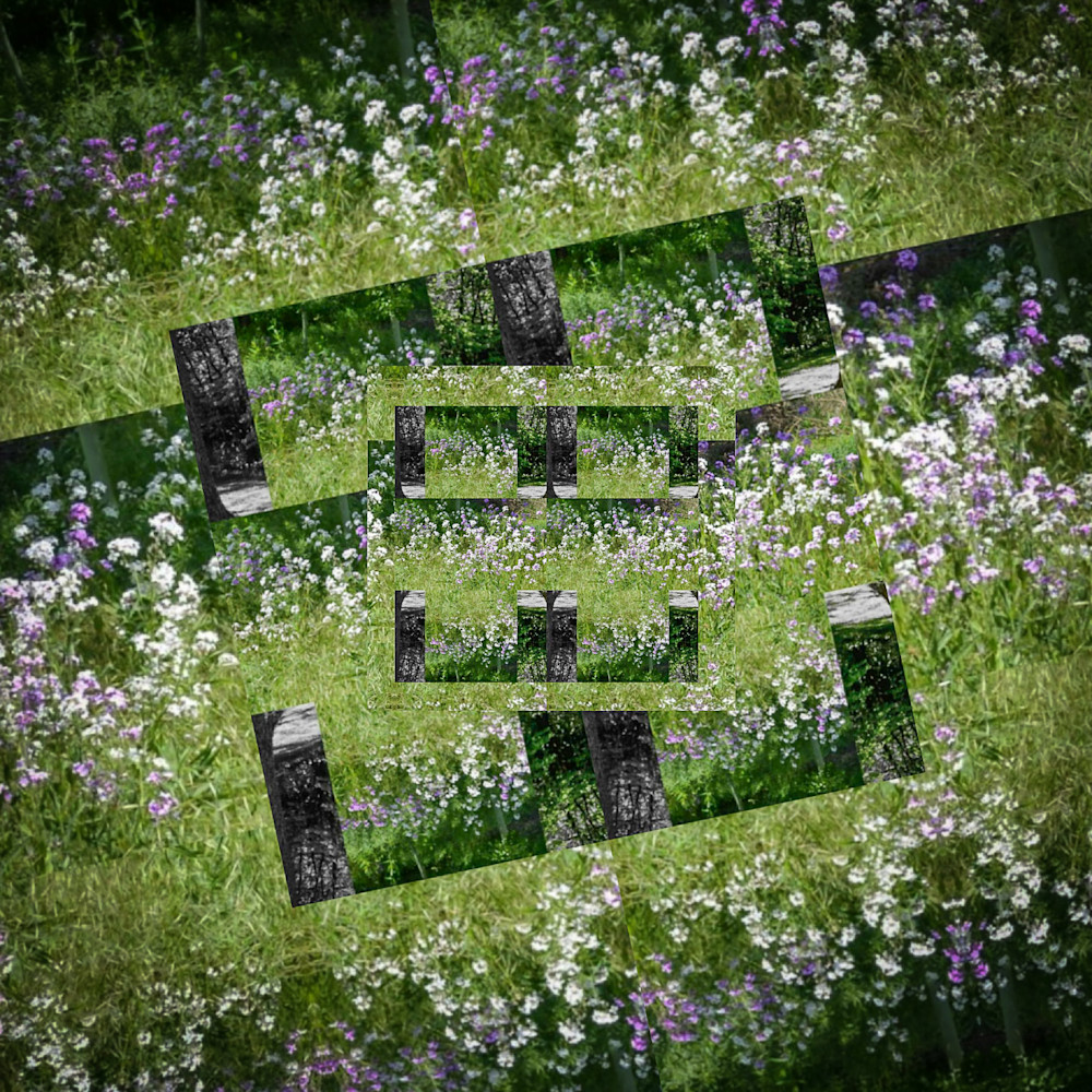 The Nature Place Art | Libby Cerullo Art