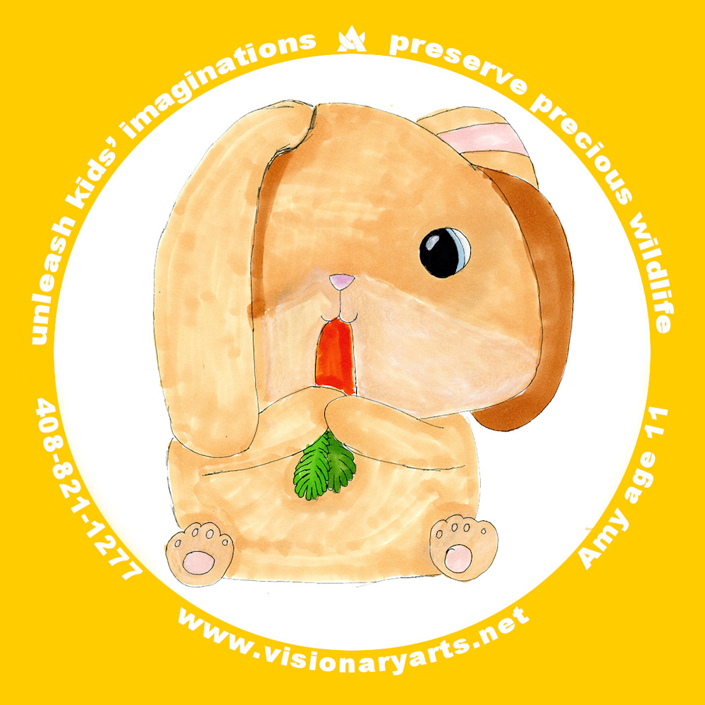 0a Sticker Va A11 Amy 004 Art | Visionary Arts