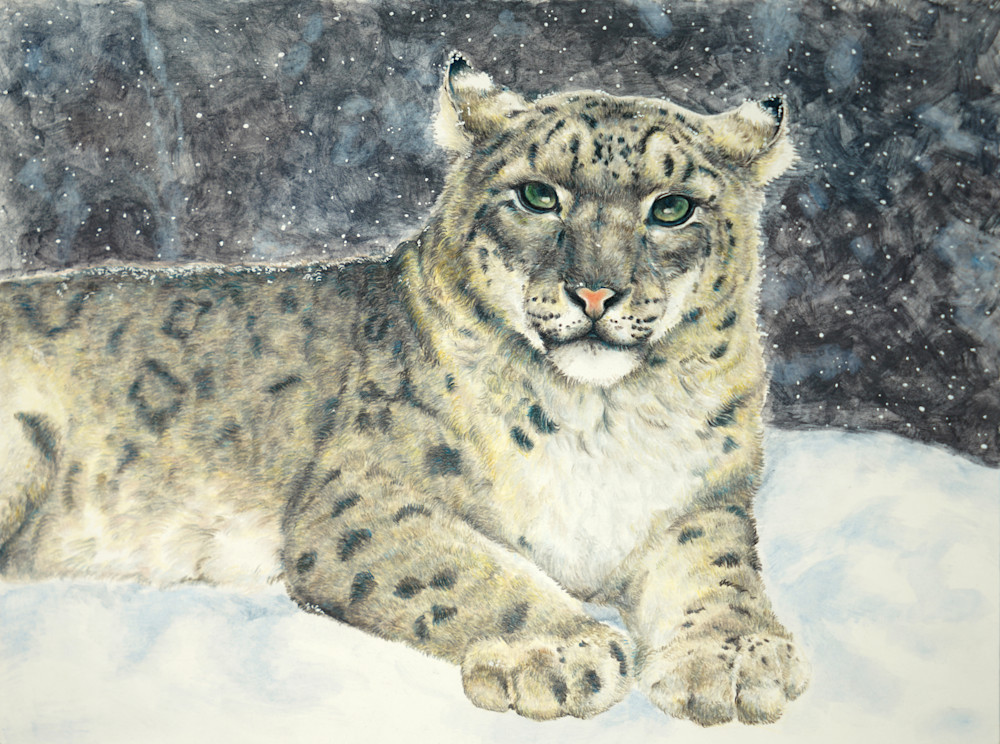 Lorie Cpm Challenge Wild Cat Art | Visionary Arts