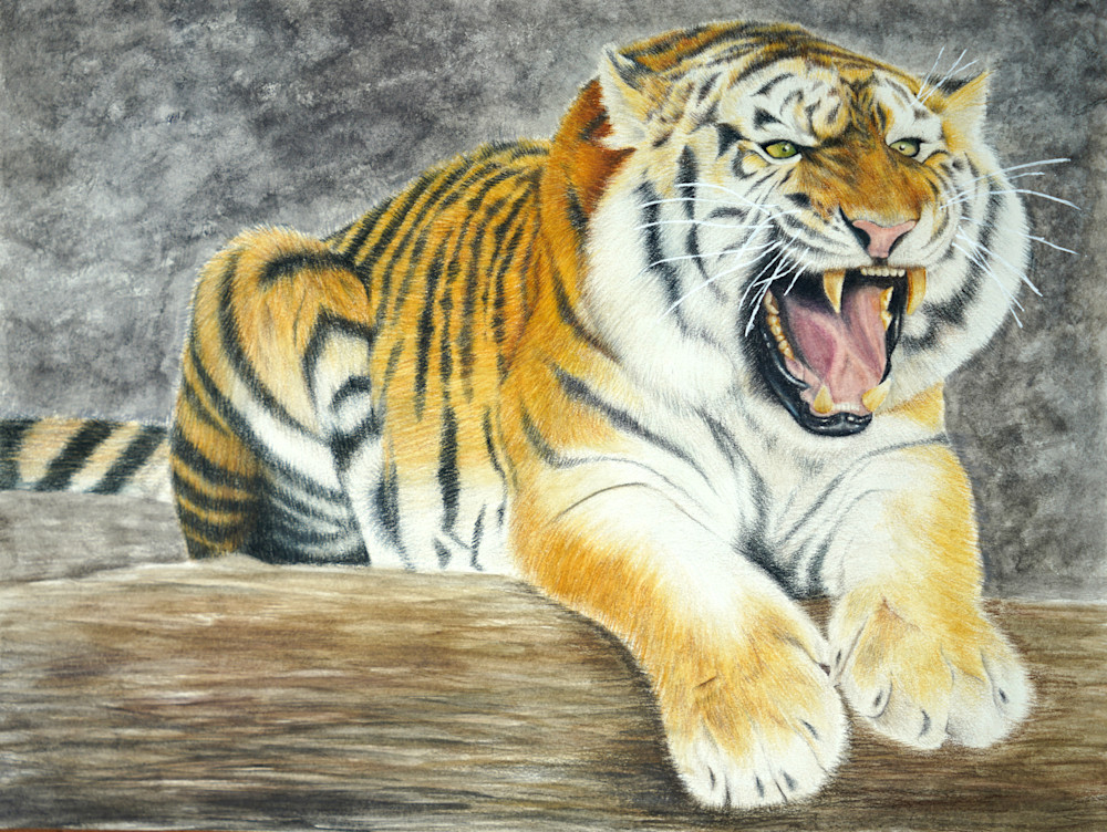 Claire Cpm Wild Cat Challenge Art | Visionary Arts