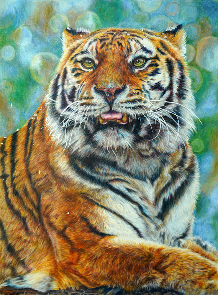 Karen Cpm Challenge Wild Cat Art | Visionary Arts