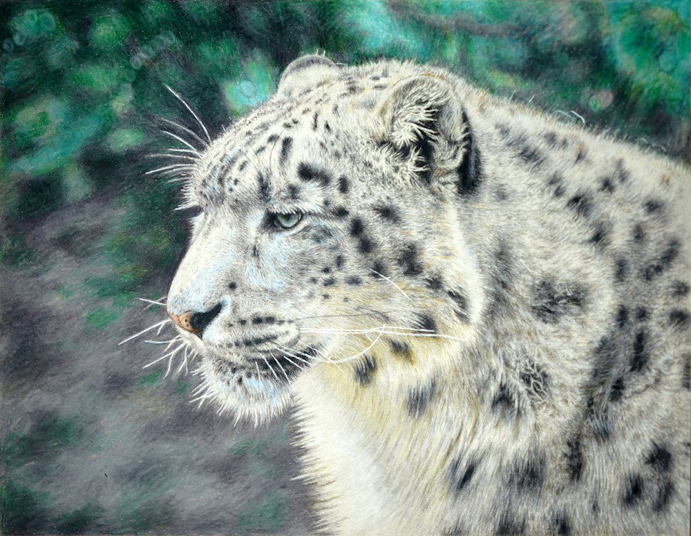 Cpm Alex Wild Cat Challenge Art | Visionary Arts
