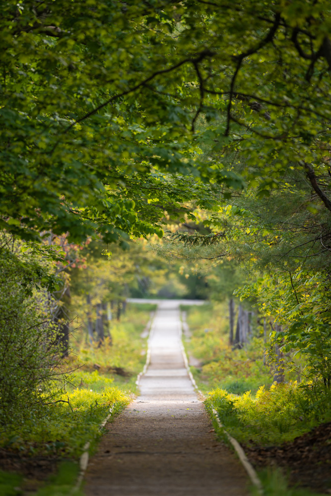 Wolfeboro, New Hampshire   Cotton Valley Rail Trail Photography Art | Jeremy Noyes Fine Art Photography