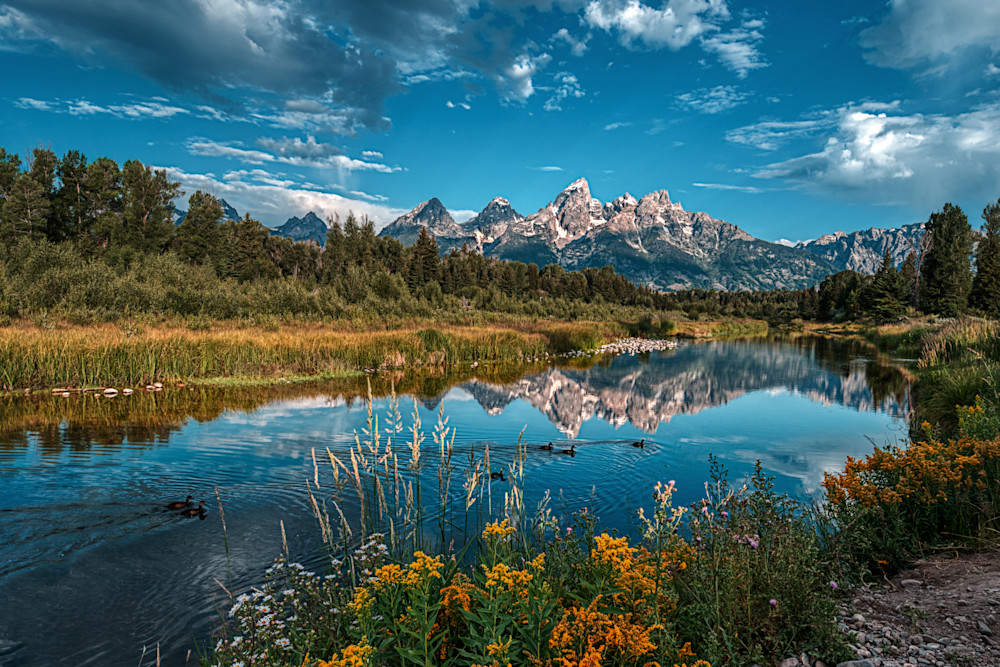 Summer In The Tetons Photography Art | membymaryanne.com