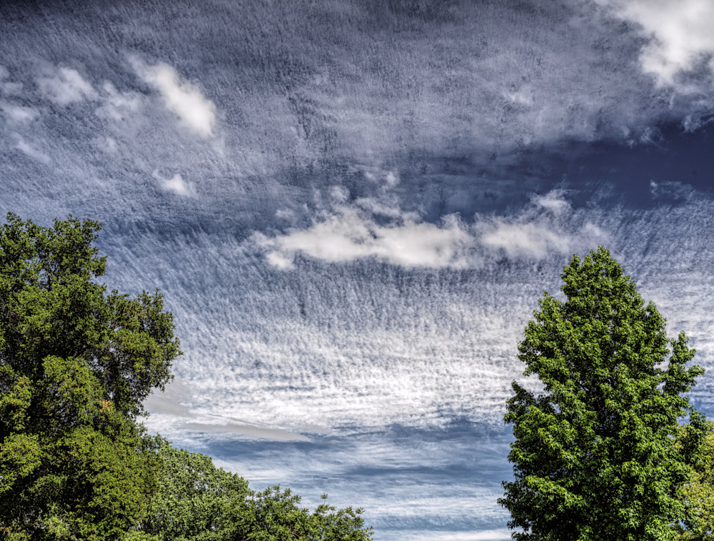 Sky Scape11