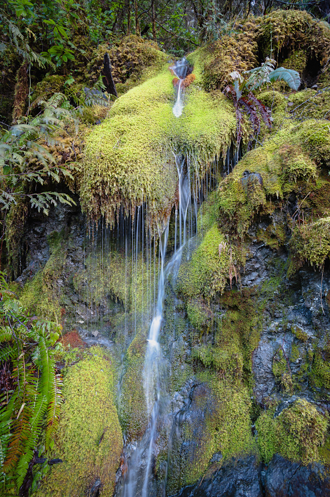 Moss Waterfall, Mason County, Washington, 2017