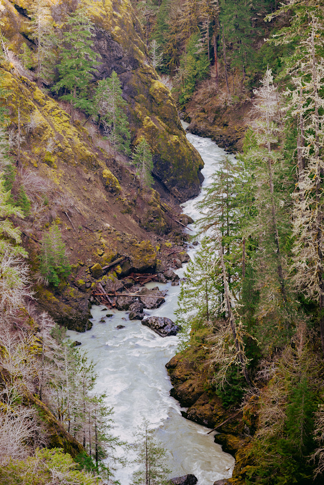 Downstream, South Fork Skokomish River, Washington, 2017