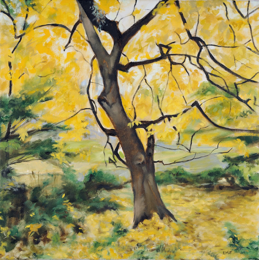 Central Park In Fall Art | EMT Fine Arts