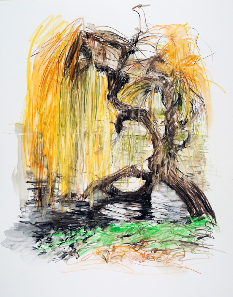 Weeping Willow In London Hyde Park Art | EMT Fine Arts